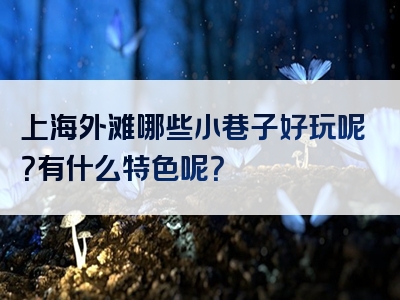 上海外滩哪些小巷子好玩呢？有什么特色呢？