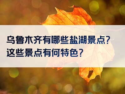 乌鲁木齐有哪些盐湖景点？这些景点有何特色？