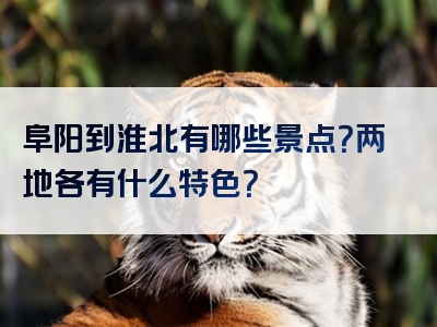 阜阳到淮北有哪些景点？两地各有什么特色？