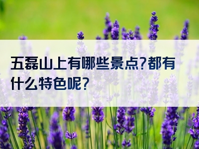 五磊山上有哪些景点？都有什么特色呢？