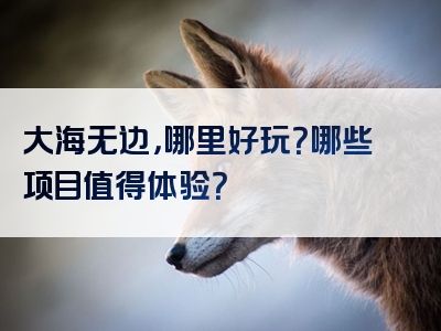 大海无边，哪里好玩？哪些项目值得体验？