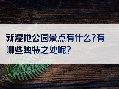 新湿地公园景点有什么？有哪些独特之处呢？