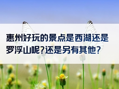 惠州好玩的景点是西湖还是罗浮山呢？还是另有其他？