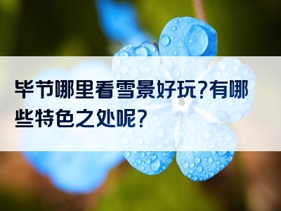 毕节哪里看雪景好玩？有哪些特色之处呢？