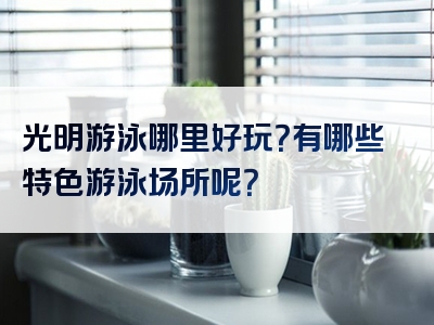 光明游泳哪里好玩？有哪些特色游泳场所呢？