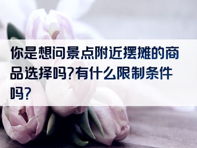 你是想问景点附近摆摊的商品选择吗？有什么限制条件吗？