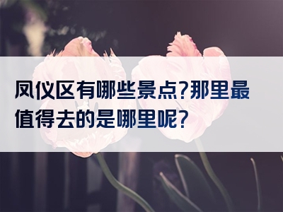 凤仪区有哪些景点？那里最值得去的是哪里呢？