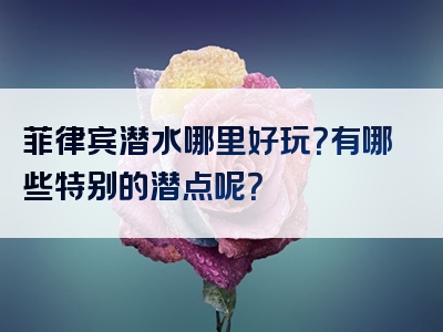 菲律宾潜水哪里好玩？有哪些特别的潜点呢？