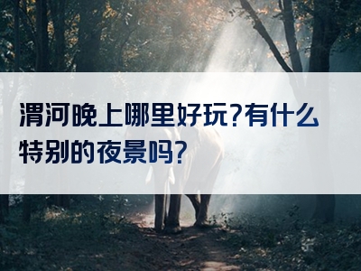 渭河晚上哪里好玩？有什么特别的夜景吗？