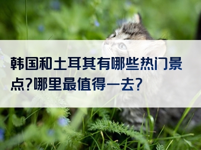 韩国和土耳其有哪些热门景点？哪里最值得一去？