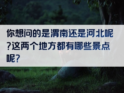 你想问的是渭南还是河北呢？这两个地方都有哪些景点呢？