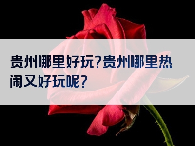 贵州哪里好玩？贵州哪里热闹又好玩呢？