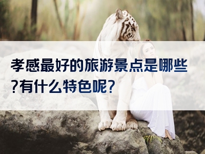 孝感最好的旅游景点是哪些？有什么特色呢？