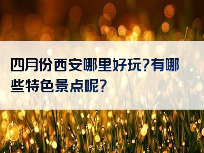 四月份西安哪里好玩？有哪些特色景点呢？