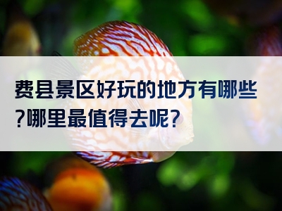 费县景区好玩的地方有哪些？哪里最值得去呢？