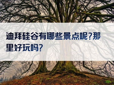 迪拜硅谷有哪些景点呢？那里好玩吗？