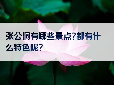 张公洞有哪些景点？都有什么特色呢？