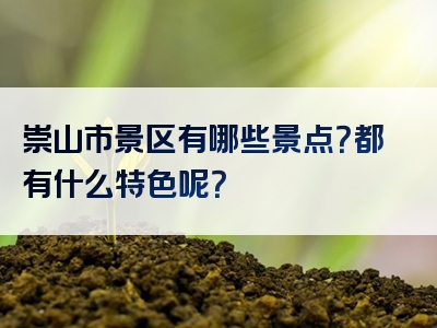 崇山市景区有哪些景点？都有什么特色呢？