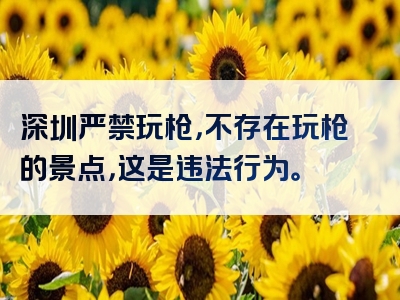 深圳严禁玩枪，不存在玩枪的景点，这是违法行为。