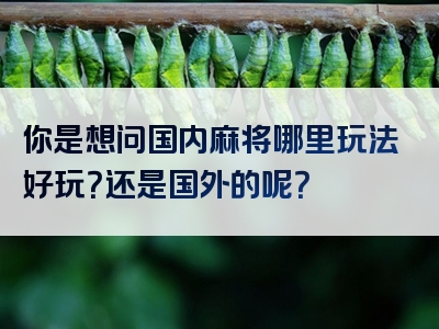 你是想问国内麻将哪里玩法好玩？还是国外的呢？