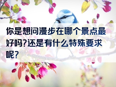 你是想问漫步在哪个景点最好吗？还是有什么特殊要求呢？