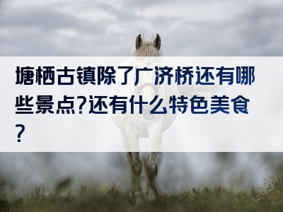 塘栖古镇除了广济桥还有哪些景点？还有什么特色美食？