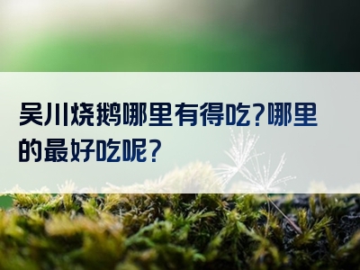 吴川烧鹅哪里有得吃？哪里的最好吃呢？