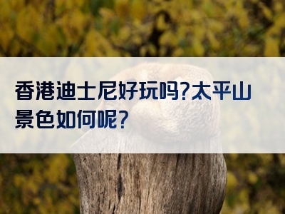 香港迪士尼好玩吗？太平山景色如何呢？