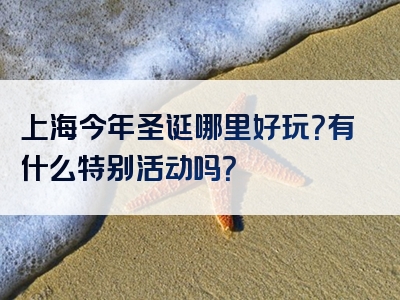 上海今年圣诞哪里好玩？有什么特别活动吗？