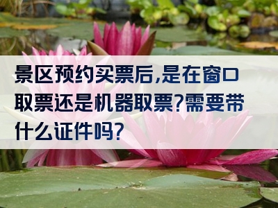 景区预约买票后，是在窗口取票还是机器取票？需要带什么证件吗？