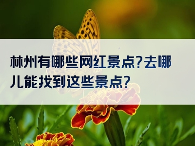 林州有哪些网红景点？去哪儿能找到这些景点？