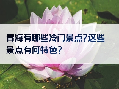 青海有哪些冷门景点？这些景点有何特色？