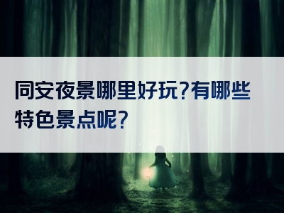 同安夜景哪里好玩？有哪些特色景点呢？