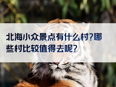 北海小众景点有什么村？哪些村比较值得去呢？