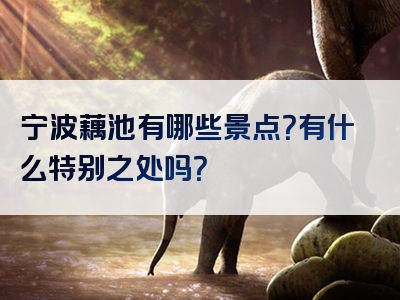 宁波藕池有哪些景点？有什么特别之处吗？