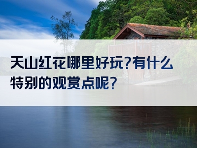 天山红花哪里好玩？有什么特别的观赏点呢？