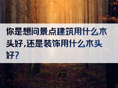 你是想问景点建筑用什么木头好，还是装饰用什么木头好？