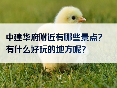 中建华府附近有哪些景点？有什么好玩的地方呢？