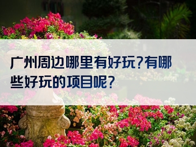 广州周边哪里有好玩？有哪些好玩的项目呢？