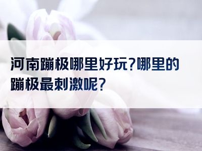 河南蹦极哪里好玩？哪里的蹦极最刺激呢？