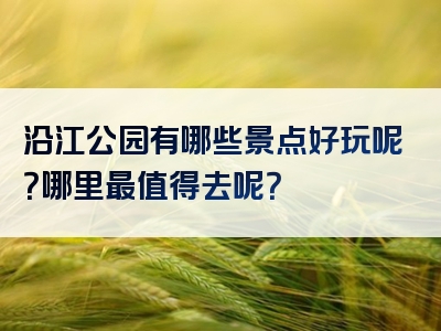 沿江公园有哪些景点好玩呢？哪里最值得去呢？