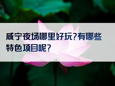 咸宁夜场哪里好玩？有哪些特色项目呢？