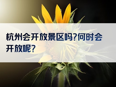 杭州会开放景区吗？何时会开放呢？