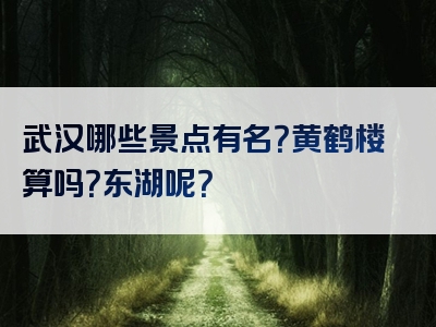 武汉哪些景点有名？黄鹤楼算吗？东湖呢？