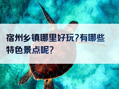 宿州乡镇哪里好玩？有哪些特色景点呢？