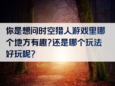 你是想问时空猎人游戏里哪个地方有趣？还是哪个玩法好玩呢？