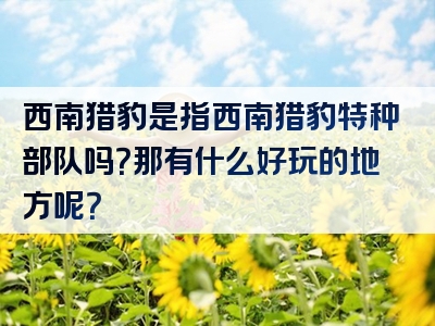 西南猎豹是指西南猎豹特种部队吗？那有什么好玩的地方呢？