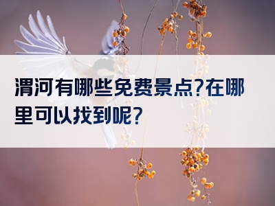 渭河有哪些免费景点？在哪里可以找到呢？