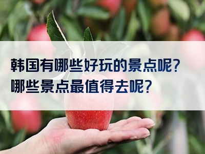韩国有哪些好玩的景点呢？哪些景点最值得去呢？
