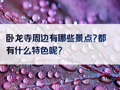 卧龙寺周边有哪些景点？都有什么特色呢？